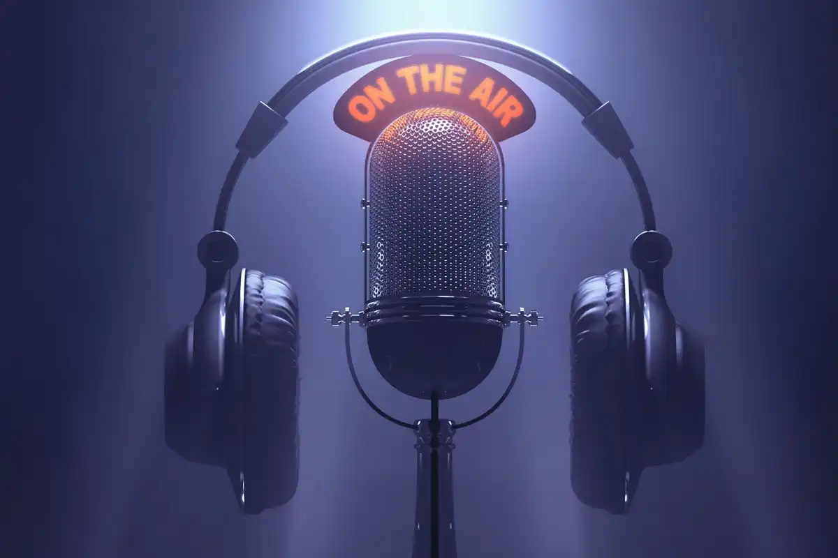 120 Army Radio microphone